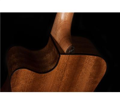 Washburn WLD10SCE Akustik-Gitarre Woodline Series5