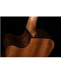 Washburn WLD10SCE Akustik-Gitarre Woodline Series