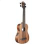 Kala Ukulele Bass