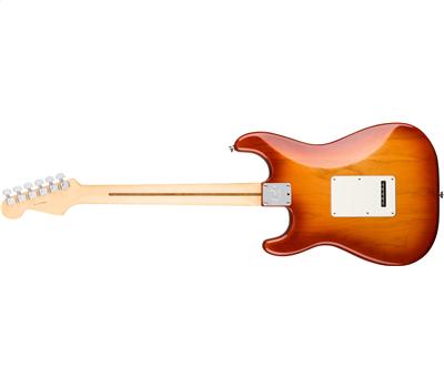 Fender American Professional Stratocaster RW Sienna Sunburst3