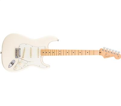 Fender American Professional Stratocaster MN Olympic White1