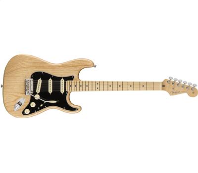 Fender American Professional Stratocaster MN Natural1