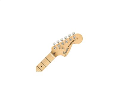 Fender American Performer Stratocaster Maple Fingerboard Penny3