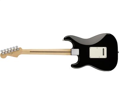 Fender Standard Stratocaster® Pau Ferro Fingerboard Black2