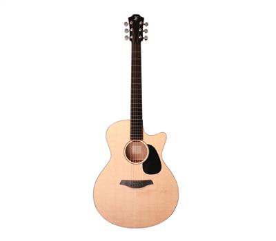 Furch Violet Gc EM Masters Choice mit LR Baggs Stagepro1