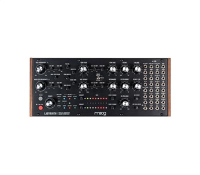 Moog Labyrinth2