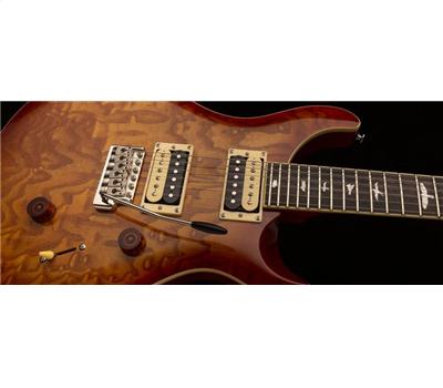 prs custom 24 burled ash