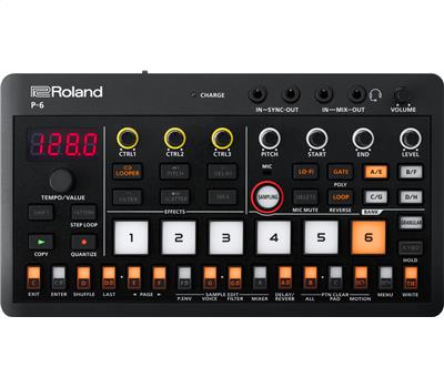 Roland Aira Compact P-61