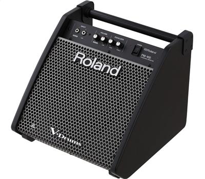 Roland PM-1002