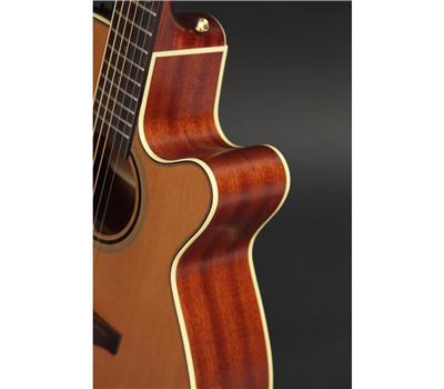 Takamine PRO Series P3NC II NEX3