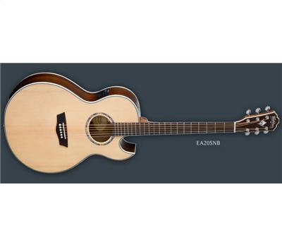 washburn ea20snb