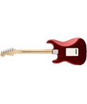 Fender American Professional Stratocaster RW Candy Apple Red