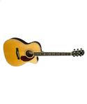 Fender Paramount PM-3 Deluxe Triple-O Natural