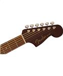Fender Malibu Player Natural
