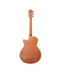 Furch Violet Gc EM Masters Choice mit LR Baggs Stagepro