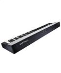 Kurzweil KaP1 Black