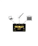Morley ABY-G Gold Series Selector Combiner