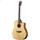 Breedlove Discovery Series Dreadnought Plus Soft Cutaway