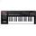 Roland/Cakewalk A-300 PRO Midi Keyboard Controller