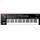 Roland/Cakewalk A-500PRO Midi Keyboard Controller