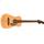 Fender Malibu Player Natural