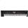 Korg Kronos MK3 / 2025 88 Tasten