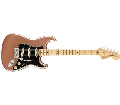 Fender American Performer Stratocaster Maple Fingerboard Penny1