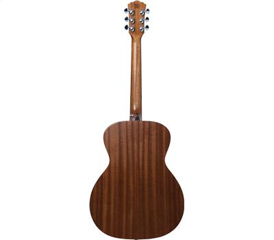 Washburn WCG 10 SENS2