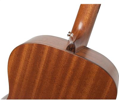 Washburn WCG 10 SENS3