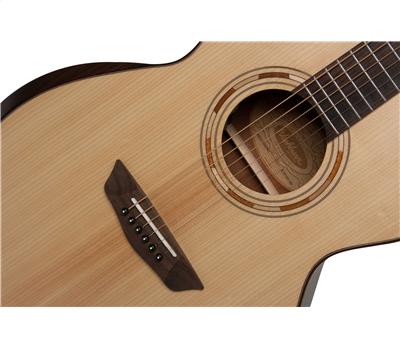 Washburn WCG 10 SENS4