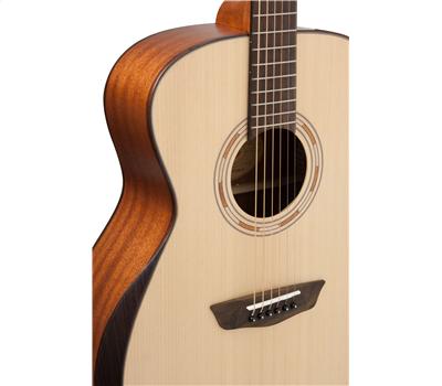 Washburn WCG 10 SENS5