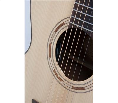 Washburn WCG 10 SENS6