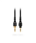 RODE NTH-Cable24 black - Anschlusskabel zu NTH-100, 2.