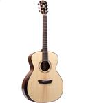 Washburn WCG 10 SENS