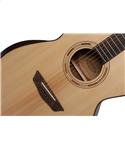 Washburn WCG 10 SENS