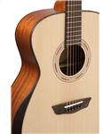Washburn WCG 10 SENS