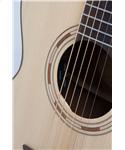 Washburn WCG 10 SENS