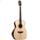 Washburn WCG 10 SENS